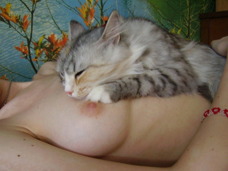Cat on naked female breast