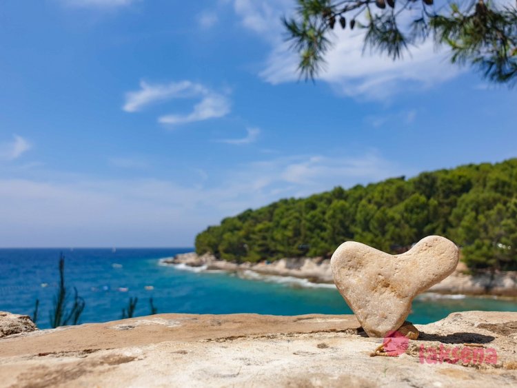 My Little Garden. Montenegro. Inf. Mila Naturist