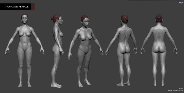 3D nude Male Female Anatomy Anatomy