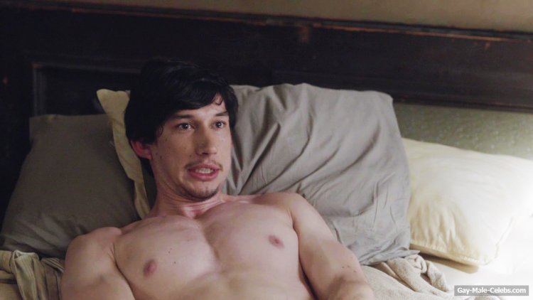 Adam Driver Penis