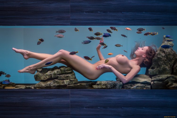 Naked in the aquarium photo shoot