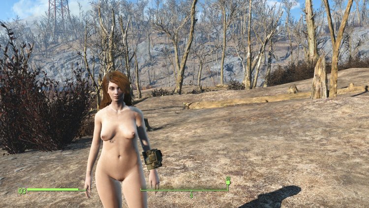 Fallut 4 Erotic mods