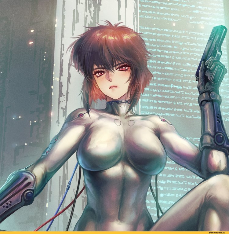 Motoko Kusanagi boobs