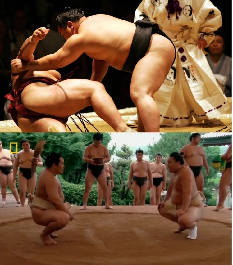 Sumo fighters women naked
