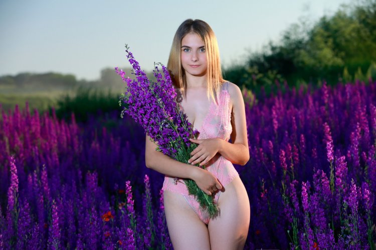 Dakota Pink undressed in a lavender meadow