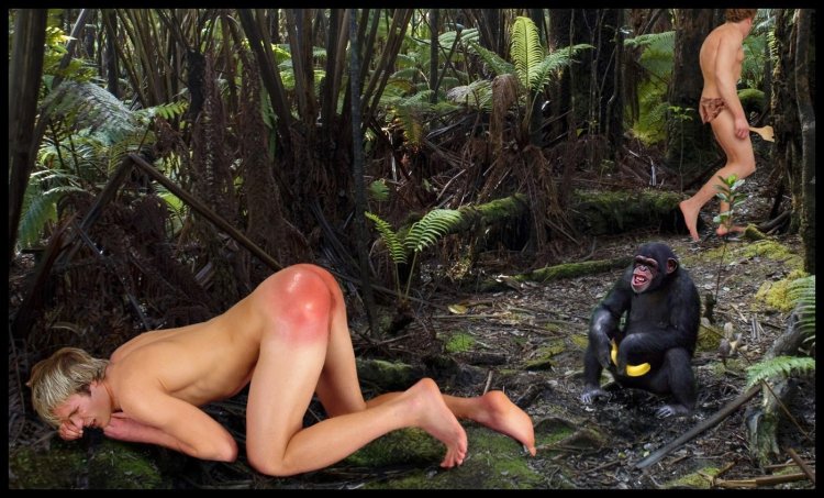 Tarzan and jungle erotic film