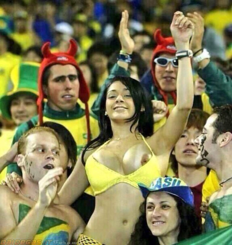 Brazilian fan 2002