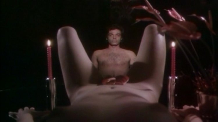 Michael Pascal Porn actress