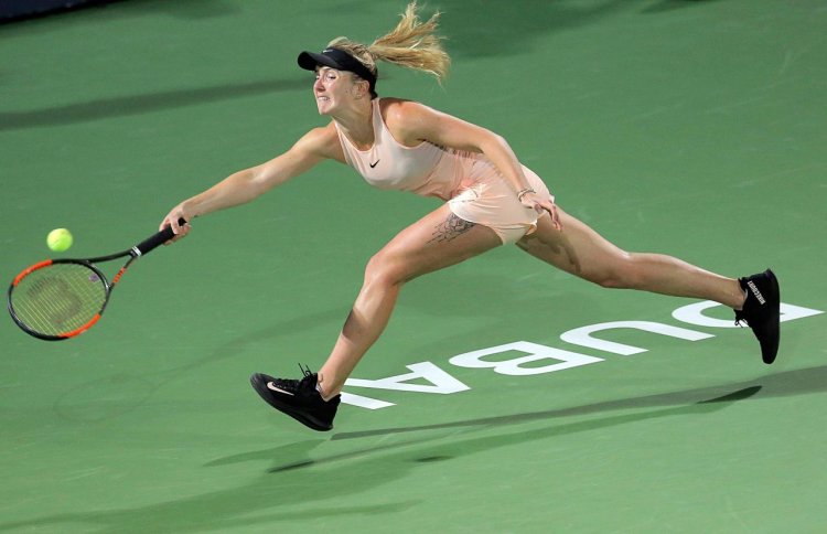 Svitolin tennis playboy