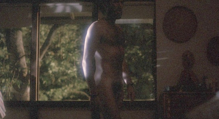 Pierce Brosnan Naked Member