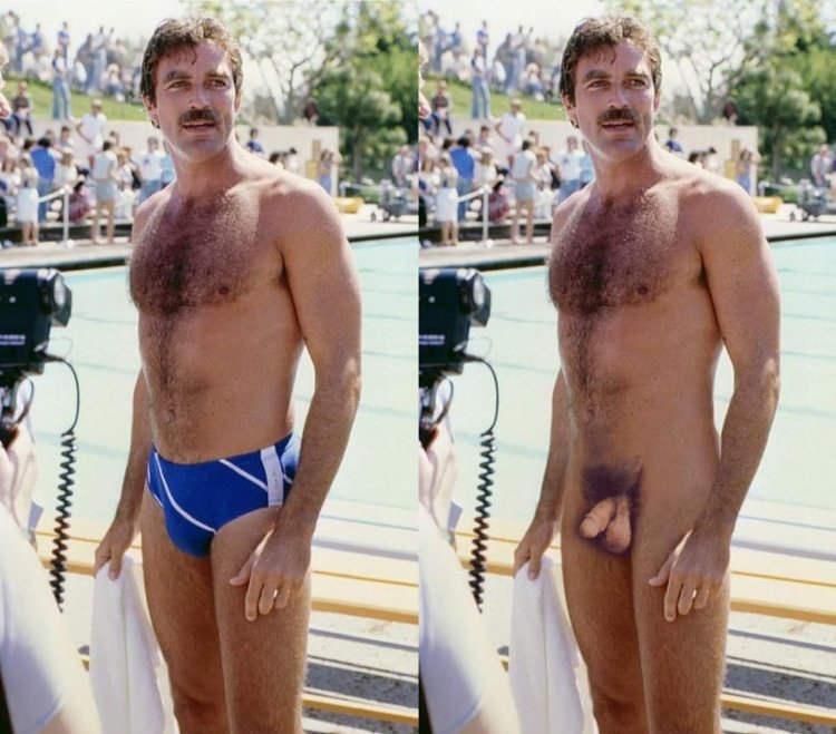 Fakes actor Pierce Brosnan Fakes