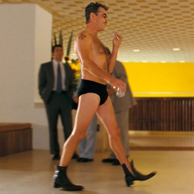 Pierce Brosnan Naked Member