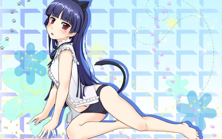 Ruri Gokou Cat Girl