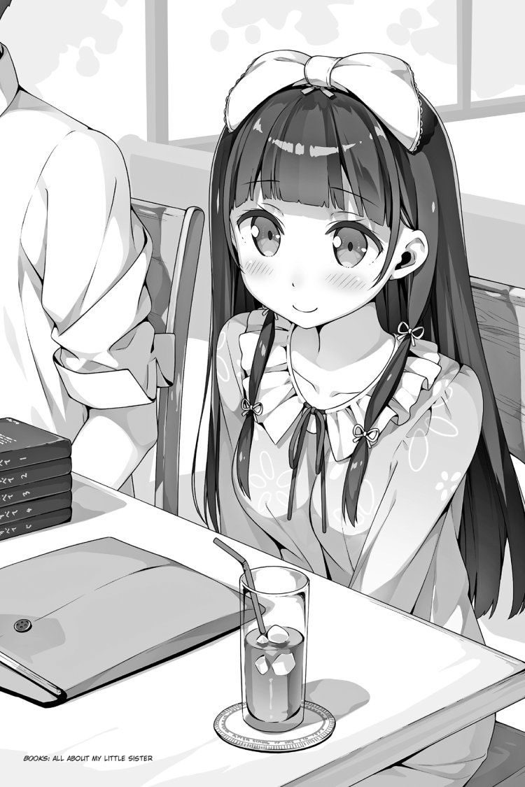 Imouto SAE IREBA II Ranobe 14 volume