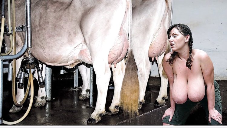 Cow with big tits