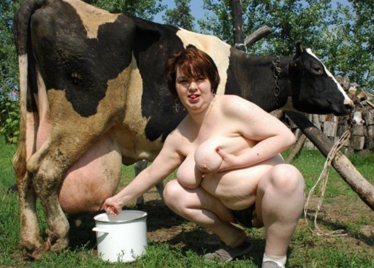 Milkmaids with big tits and cows