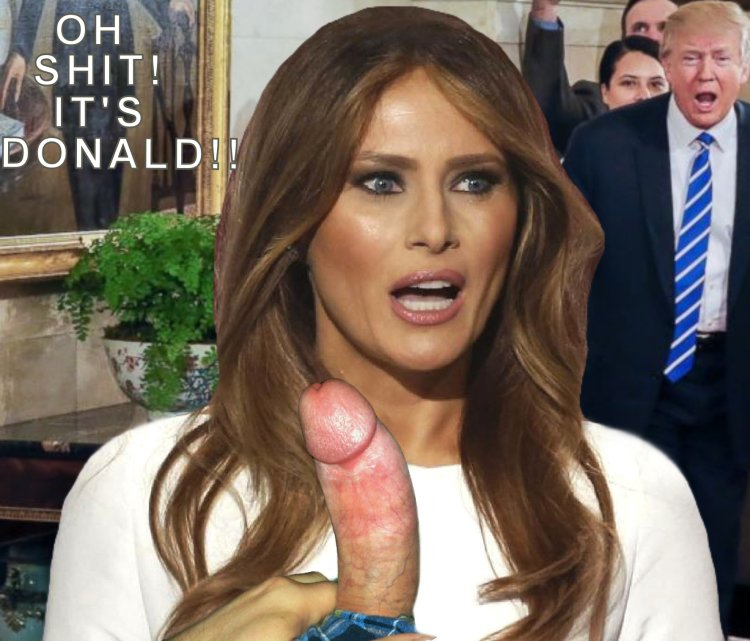 DONALD TRAMP. MELNIA. Porp. Porno