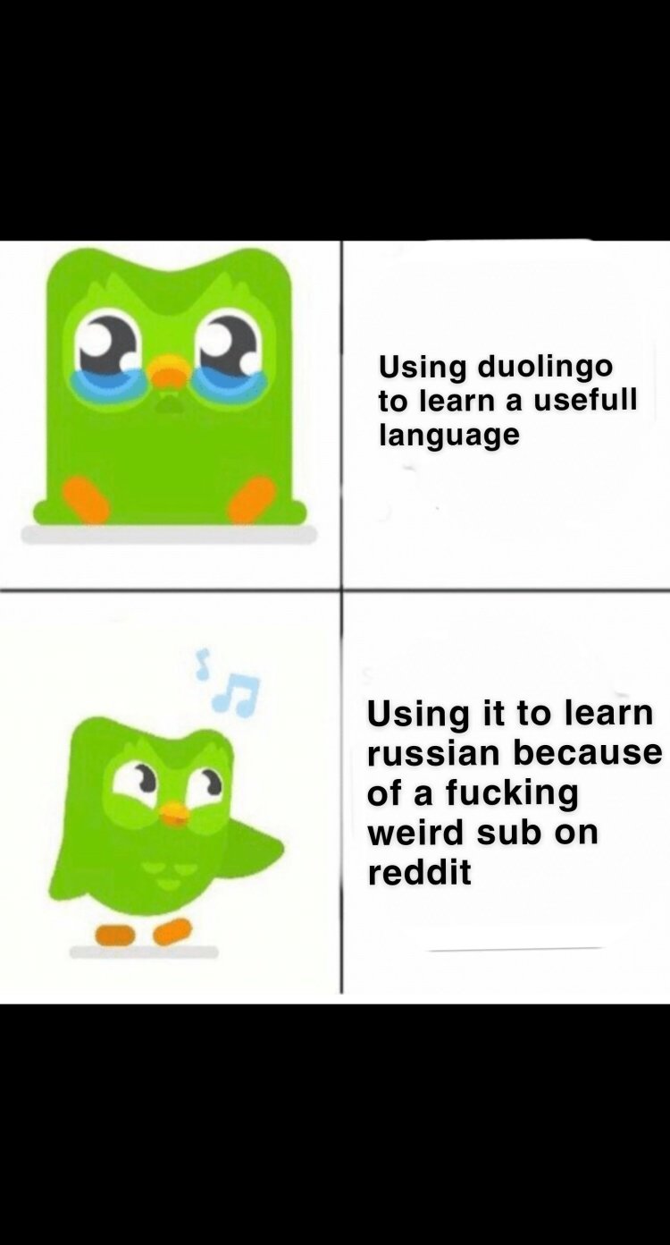 Duolingo R34