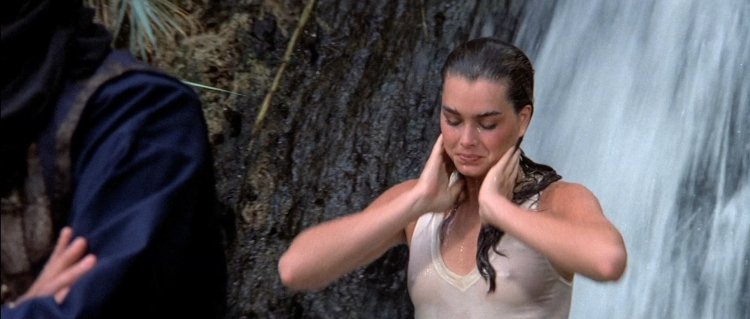 Brooke Shields Films of Sugar Waterfall