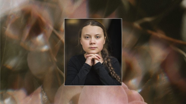 Greta Tunberg meme real eco -activists