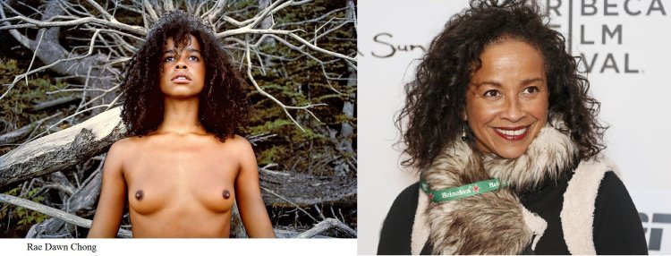 Ray Don Chong figure