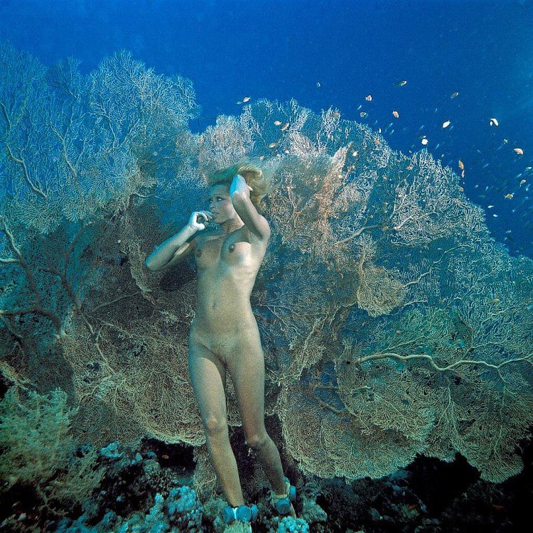 Submarine swimming naked