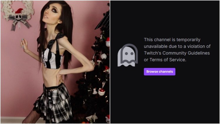 Nikolai Streammer Twich photo