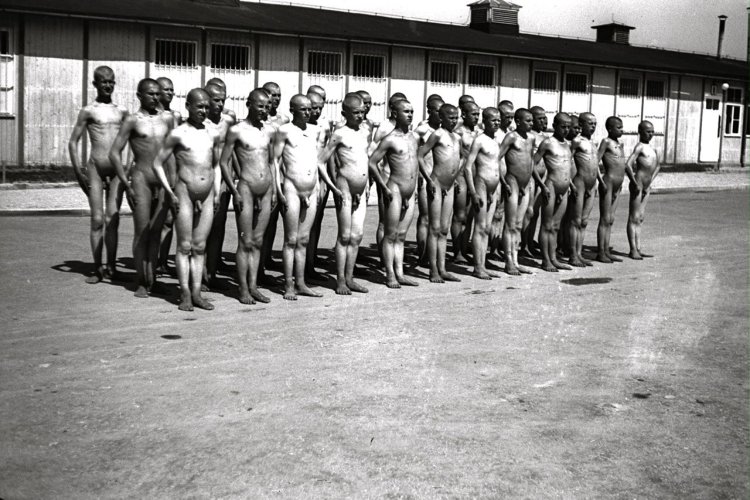 Naked women in concentration camp
