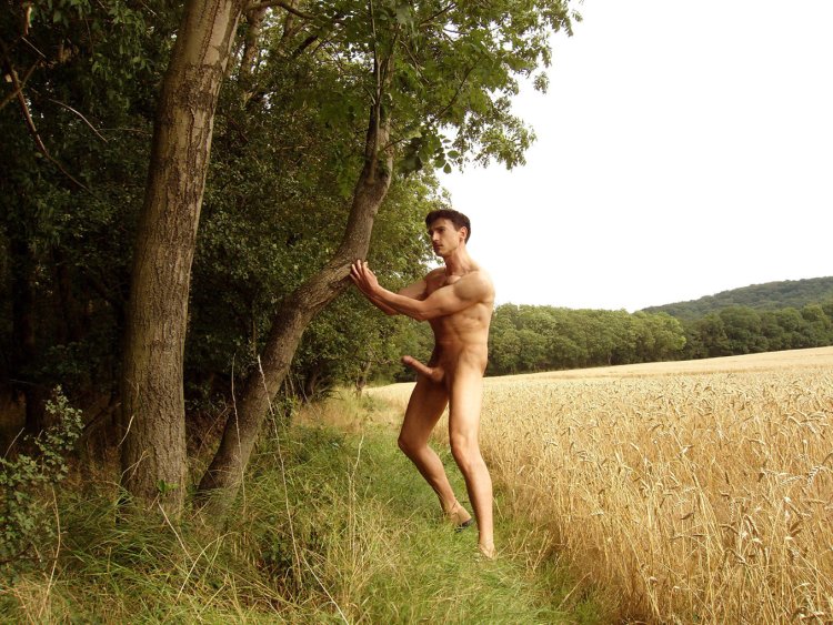 Juan Carlos Navarro Naked and Erect the Art of Hapenis