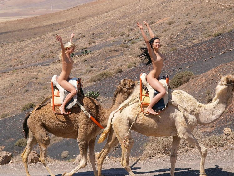 Naked photo shoot with a camel