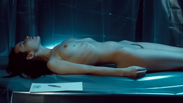 Polina Knyazeva Polina Knyazeva