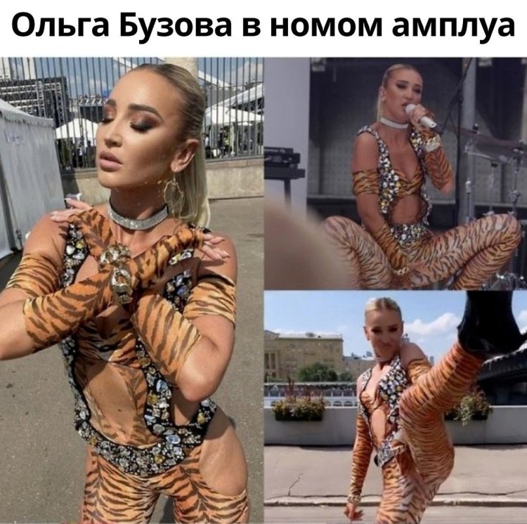 Buzova Tigress