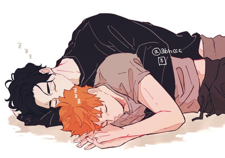 Hinata Shoyo and Sakusa Kiyomi