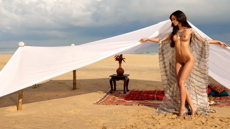 Sakhin's power naked playboy