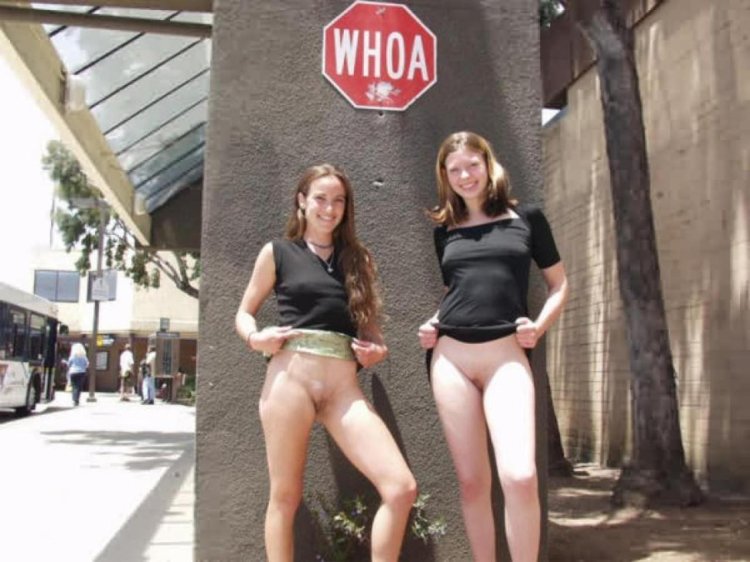 Lifted a skirt in a public place