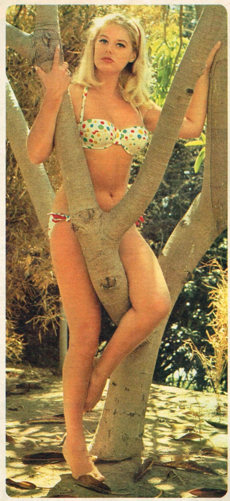 Christian Schmidtmer Christiane Schmidtmer