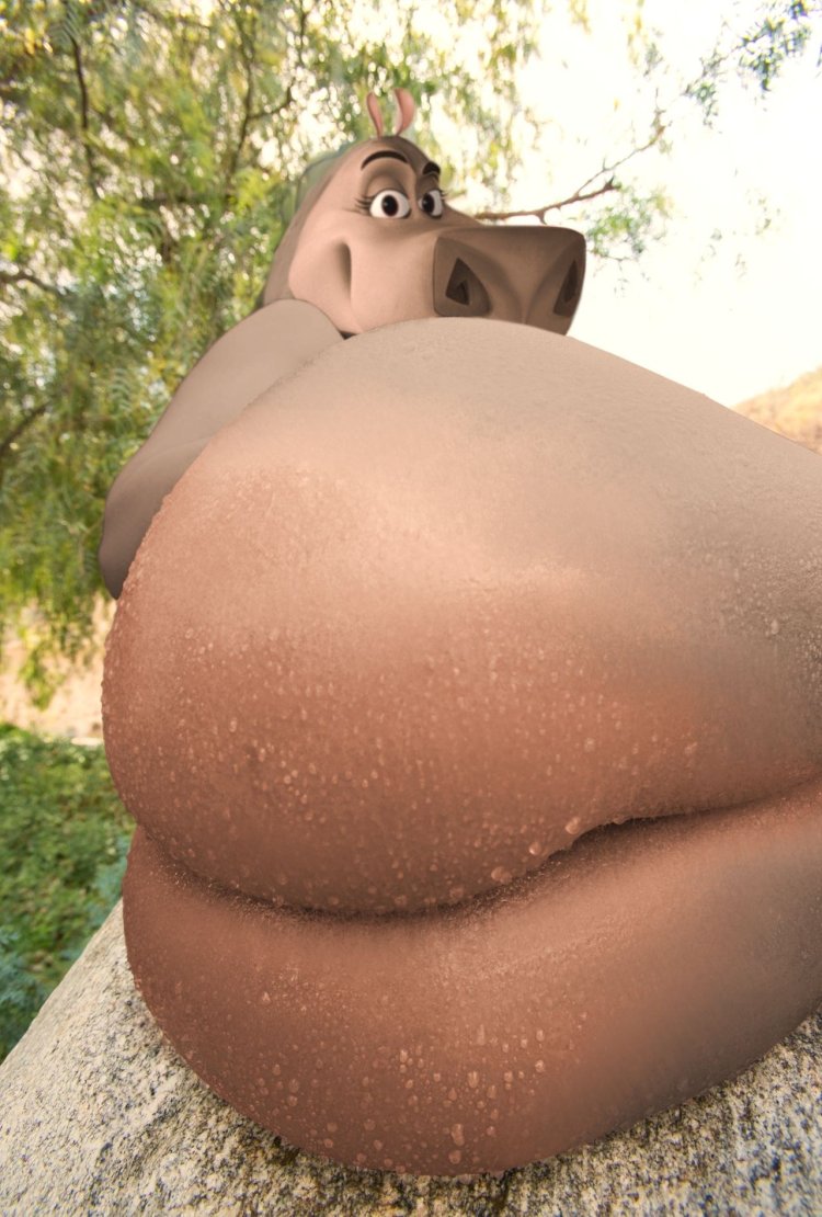 OysterCatcher7 Madagascar Gloria Ass