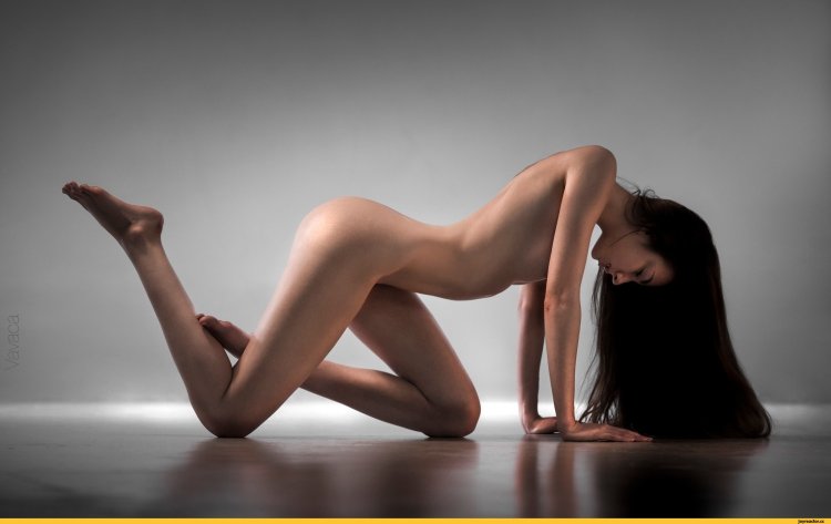 The beauty of the female body nude