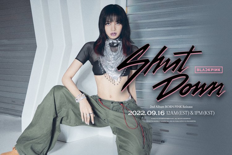 Blackpink Born Pink Posters