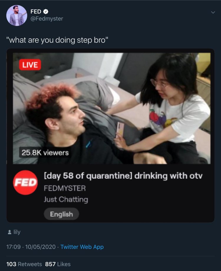 What Do You doing Step Bro