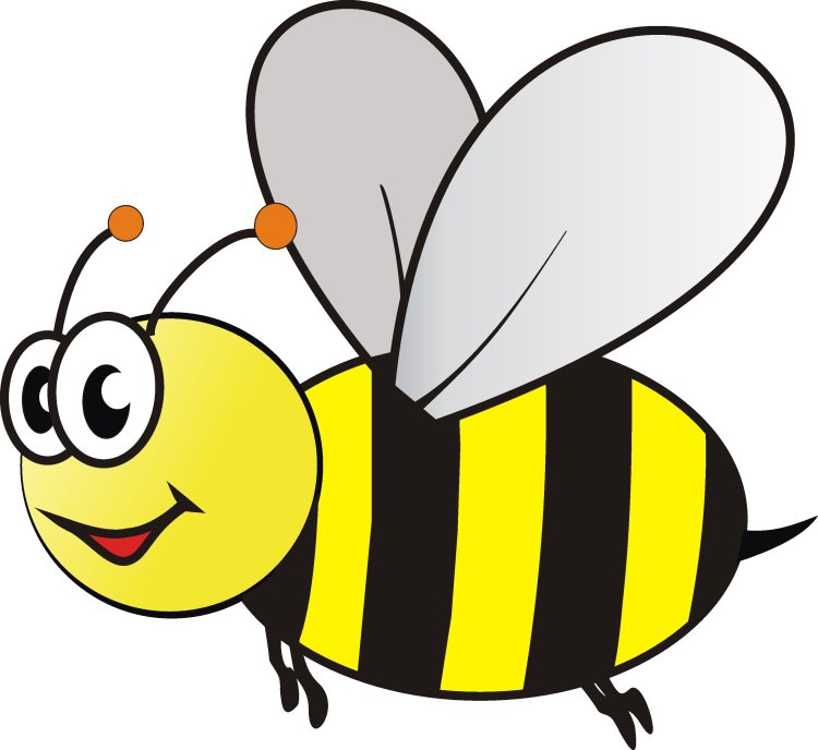 Bee drawing