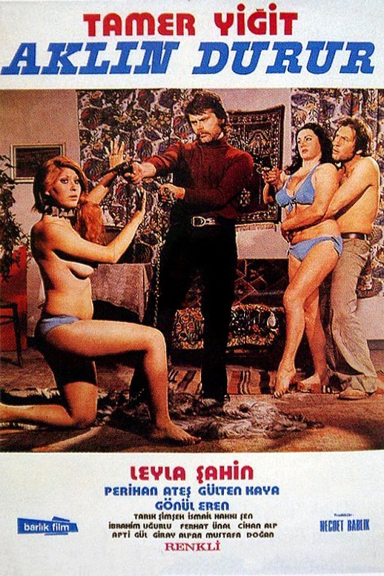 Erotic films of Turkey