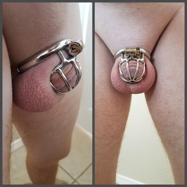 Homemade amateur Chastity
