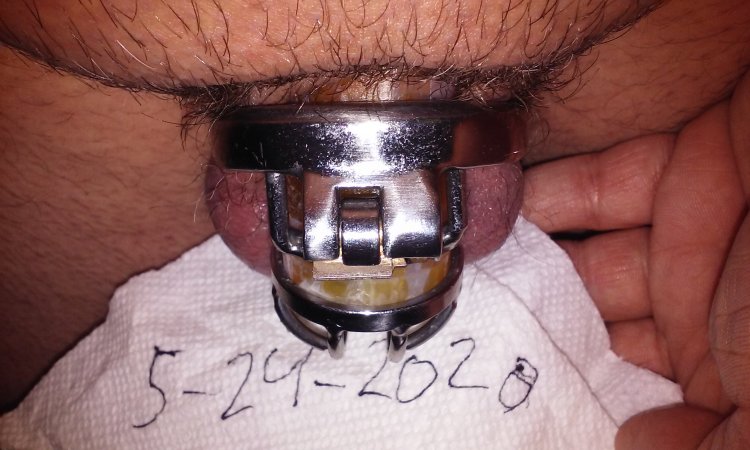 Part 069. Live of a Bi -Slave (Chastity) - 35 PICSS XHAMSTER