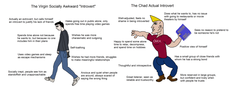 Mbti Virgin Chad