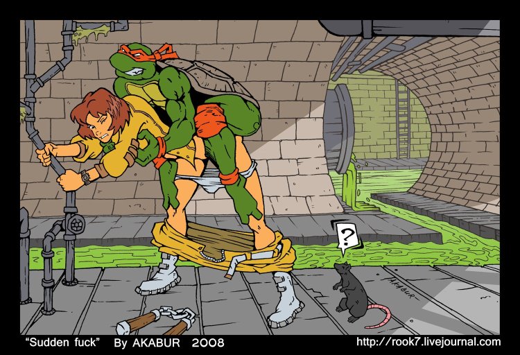 Akabur Ninja Turtles