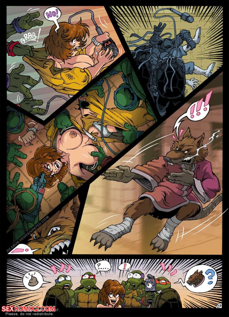 Akabur turtles ninja comic