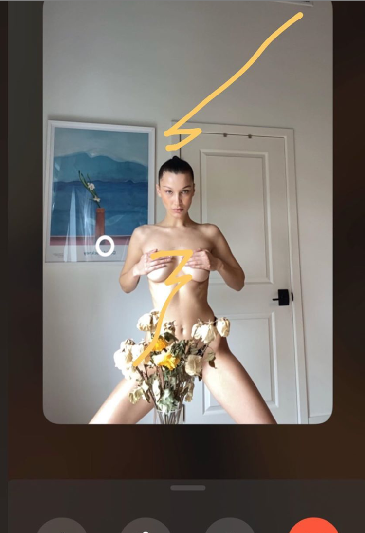 Bella Hadid starred naked