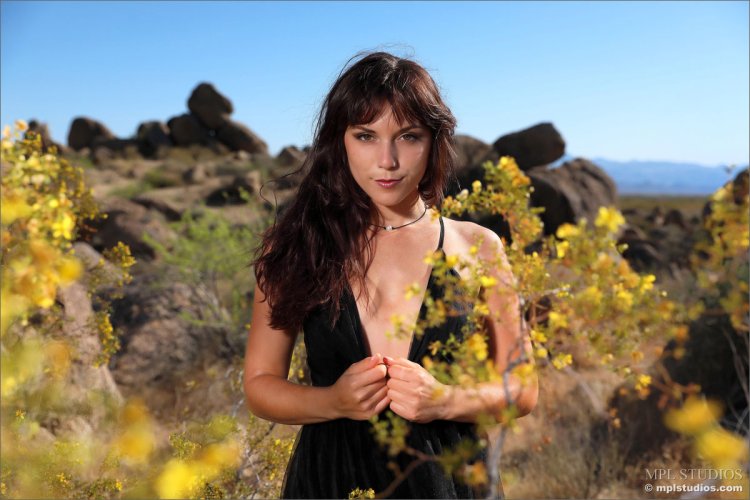 Mplstudios Elena Generi Flo Smot