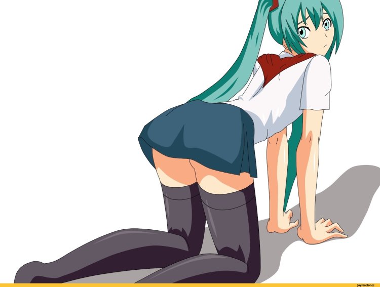 Panza Miku infinite summer